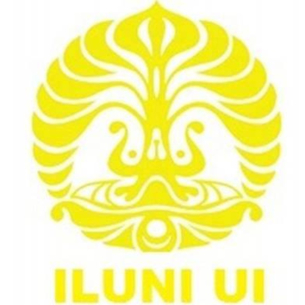 Iluni UI